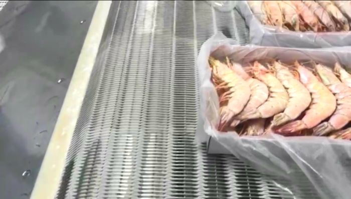 冷凍網(wǎng)帶理解聯(lián)邦快遞起訴美國政府的初衷