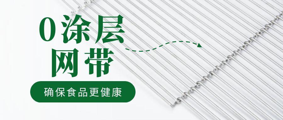 油炸機(jī)網(wǎng)帶“0 涂層”工藝，確保食品更健康