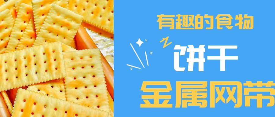 【有趣的食物】餅干到底用到多少金屬網(wǎng)帶？